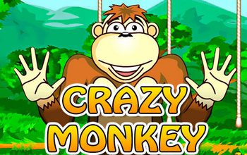 Crazy Monkey