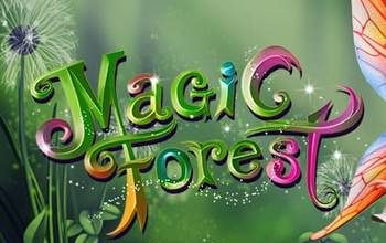 Magic Forest